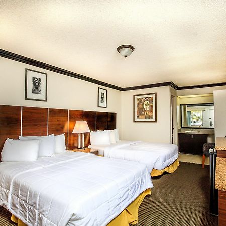 Budget Host Inn Florida City Dış mekan fotoğraf